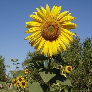 Meet your Posher, Jill